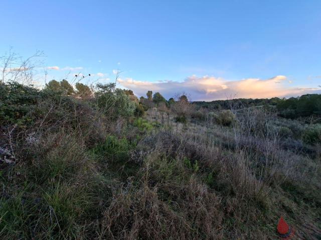 Terreno, Sant Quintí de Mediona