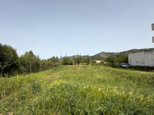 Terreno, Santa Magdalena de Pulpis