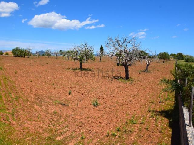 Terreno, Santa Margalida