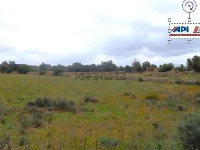Terreno, Santa Margalida