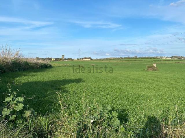 Terreno, Santa Margalida