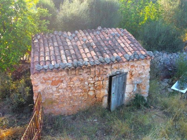 Terreno, Santa Margalida