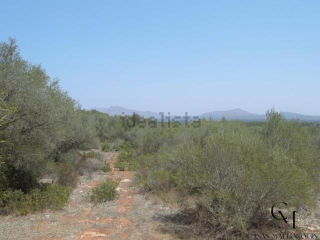 Terreno, Santa Margalida