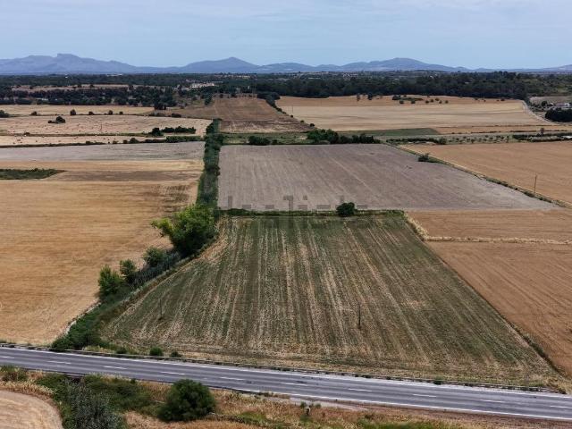 Terreno, Santa Margalida