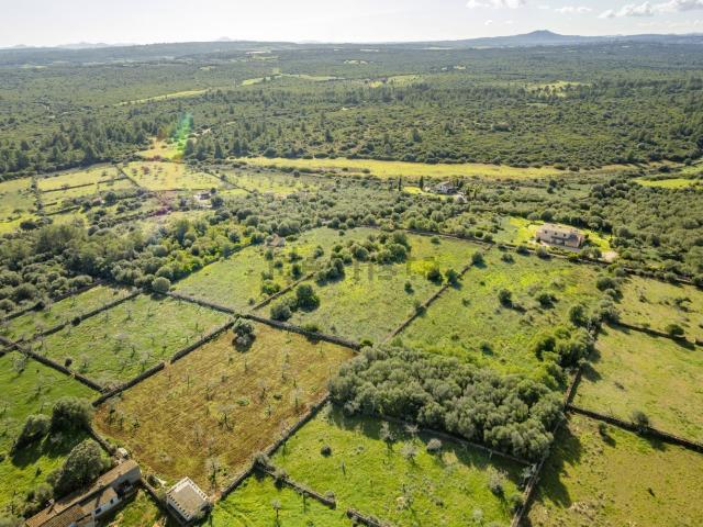 Terreno, Santa Margalida