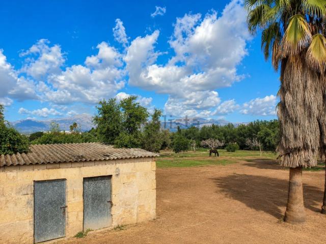 Terreno, Santa Margalida