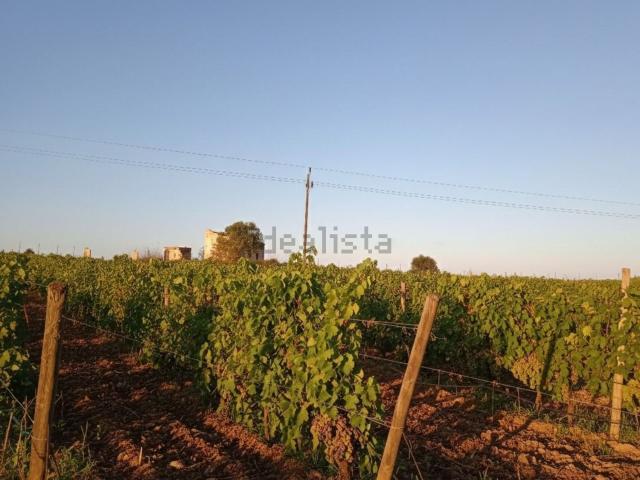 Terreno, Santa Margalida