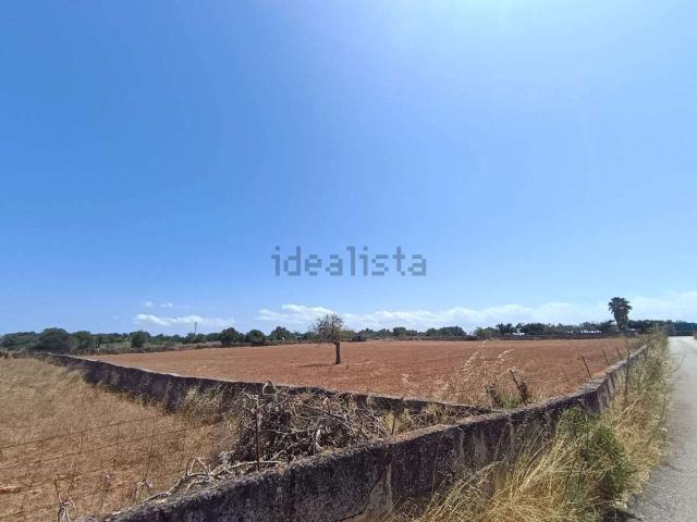 Terreno, Santa Margalida