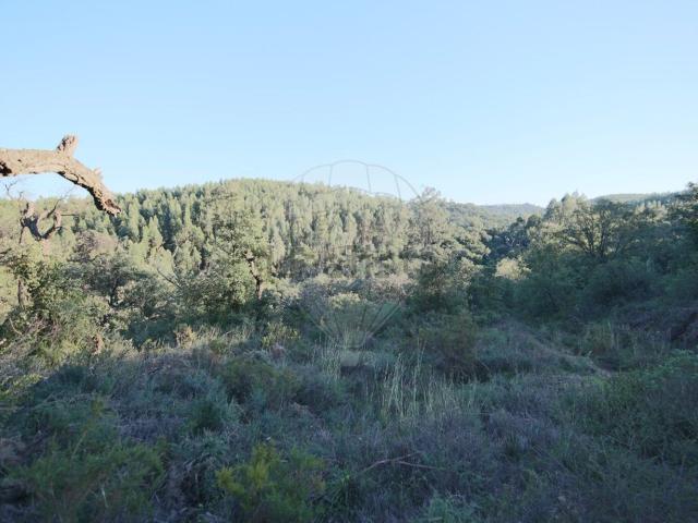 Terreno, Santa Margarida da Coutada