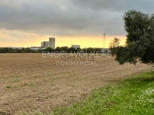 Terreno, Santa Margarida i els Monjos