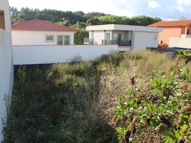 Terreno, Santa Maria Maior