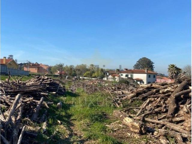 Terreno, Santa Maria da Feira Travanca Sanfins Espargo
