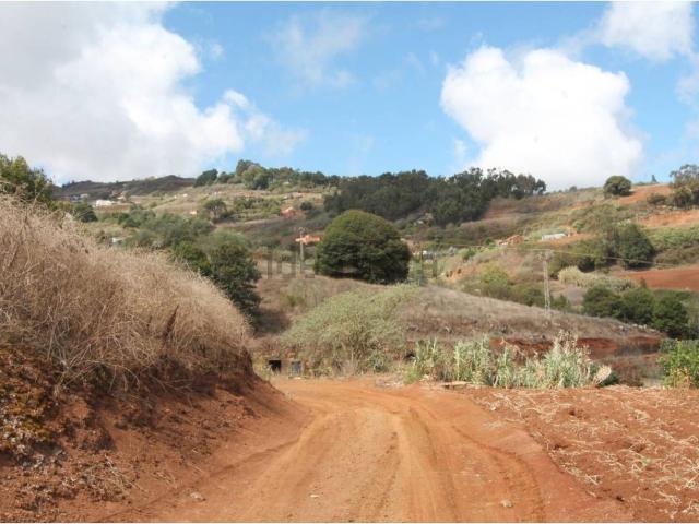 Terreno, Santa Maria de Guia de Gran Canaria