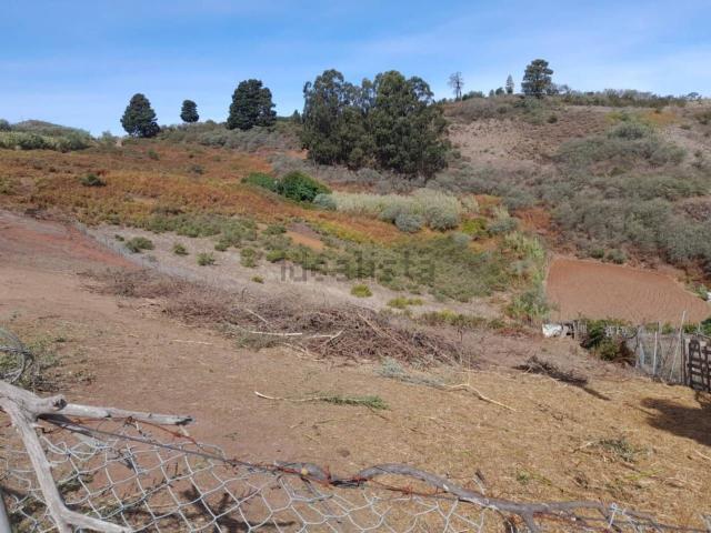 Terreno, Santa Maria de Guia de Gran Canaria