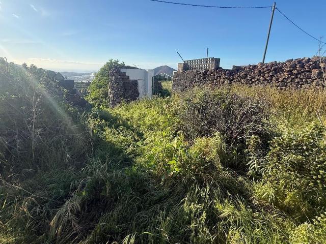 Terreno, Santa Maria de Guia de Gran Canaria