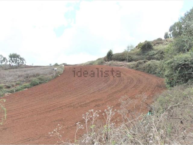 Terreno, Santa Maria de Guia de Gran Canaria