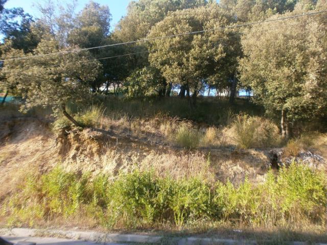 Terreno, Santa Maria de Palautordera