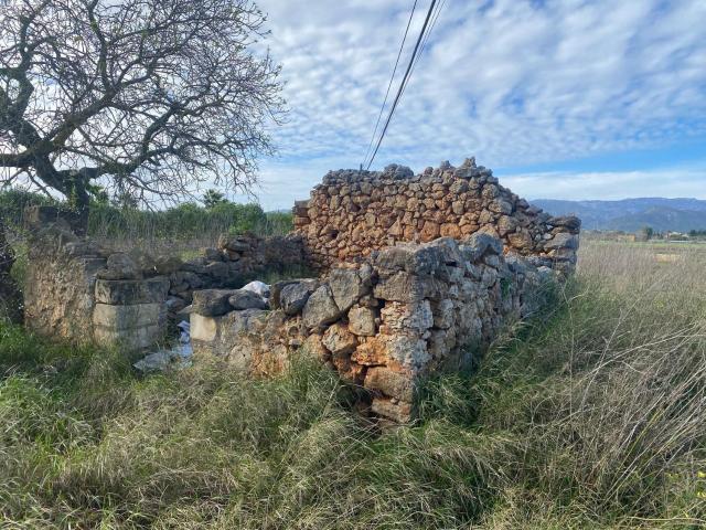 Terreno, Santa Maria del Cami