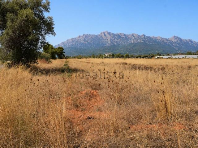 Terreno, Santa Maria del Cami