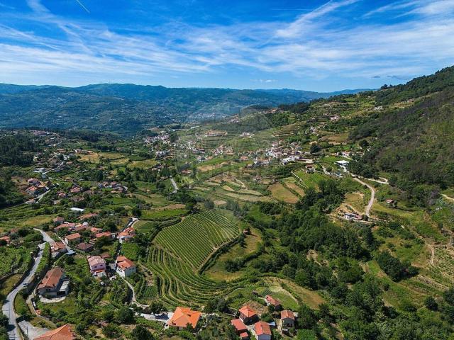 Terreno, Santa Marinha do Zêzere