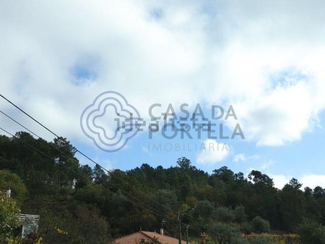 Terreno, Santa Marinha do Zêzere