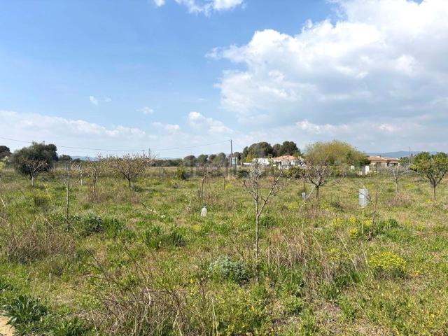 Terreno, Santa Oliva