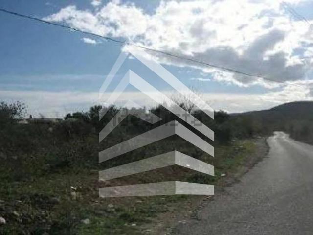 Terreno, Santa Oliva