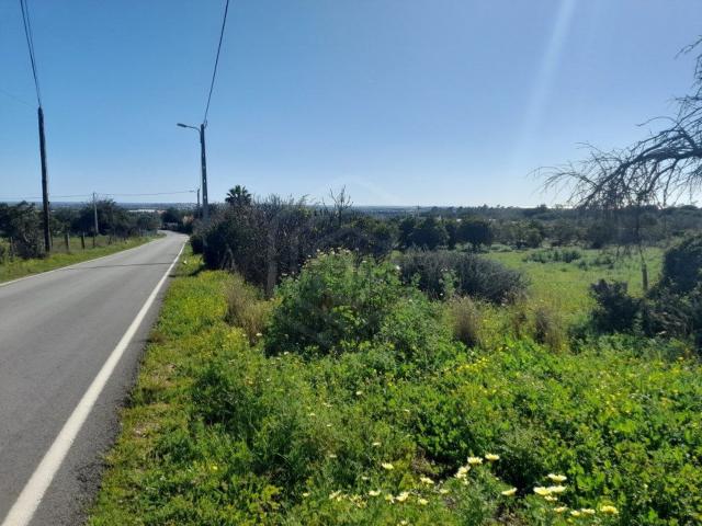 Terreno, Santa Bárbara de Nexe