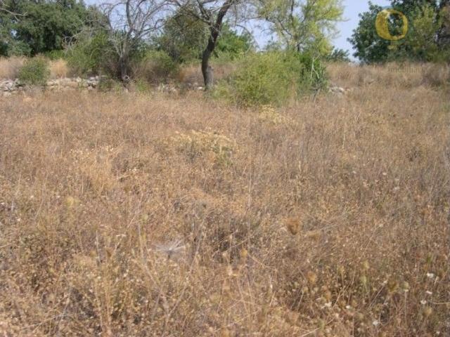 Terreno, Santa Bárbara de Nexe, Faro | BPI Expresso Imobiliário