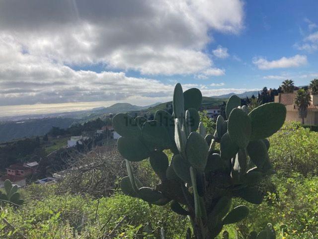 Terreno, Santa Brigida