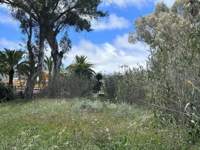 Terreno, Santa Brigida