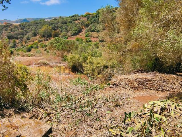 Terreno, Santa Brigida