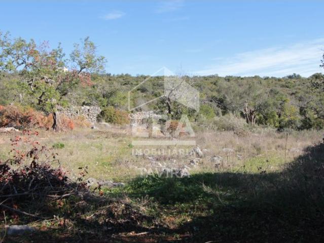 Terreno, Santa Catarina Da Fonte Do Bispo, Tavira | BPI Expresso Imobiliário