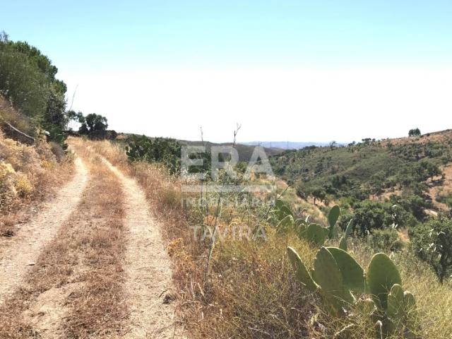 Terreno, Santa Catarina Da Fonte Do Bispo, Tavira | BPI Expresso Imobiliário