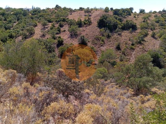 Terreno, Santa Catarina Fonte Bispo