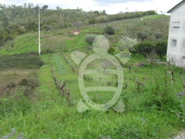 Terreno, Santa Clara e Castelo Viegas, Coimbra | BPI Expresso Imobiliário