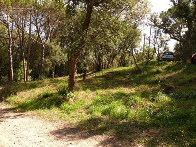 Terreno, Santa Cristina d&apos Aro