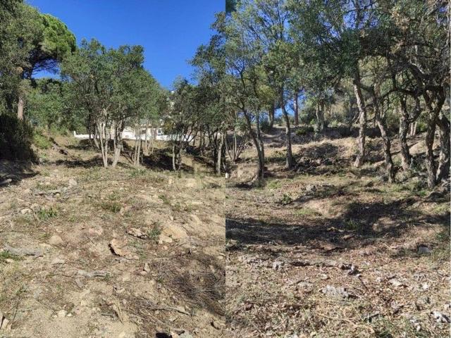 Terreno, Santa Cristina d&apos Aro