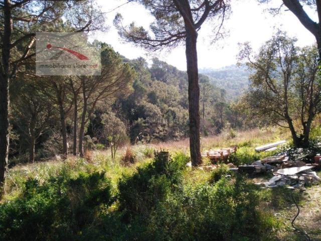 Terreno, Santa Cristina d&apos Aro
