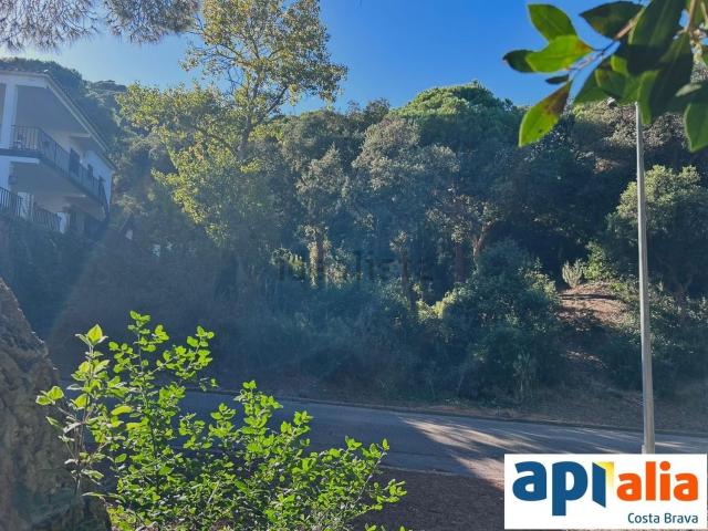 Terreno, Santa Cristina d&apos Aro