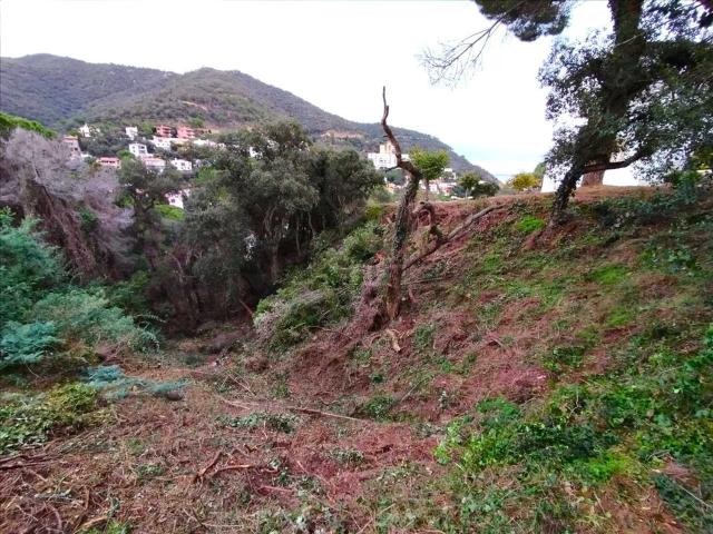 Terreno, Santa Cristina d&apos Aro