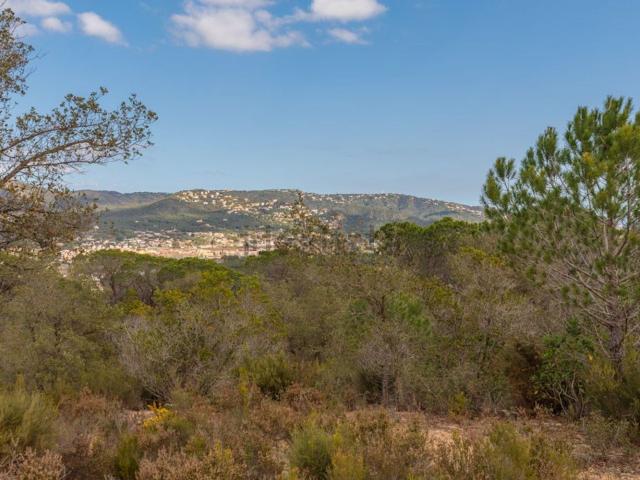 Terreno, Santa Cristina d&apos Aro