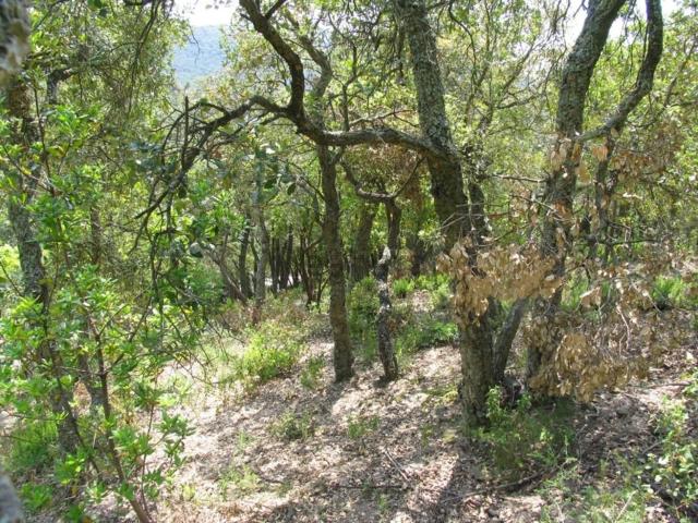 Terreno, Santa Cristina d&apos Aro