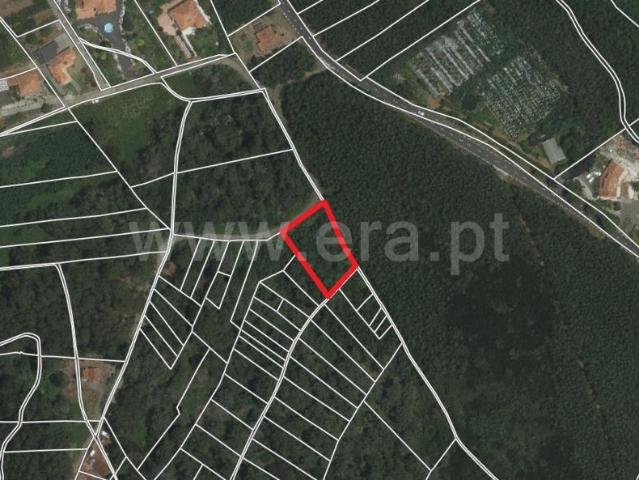 Terreno Rústico, Santa Cruz, Santa Cruz | BPI Expresso Imobiliário
