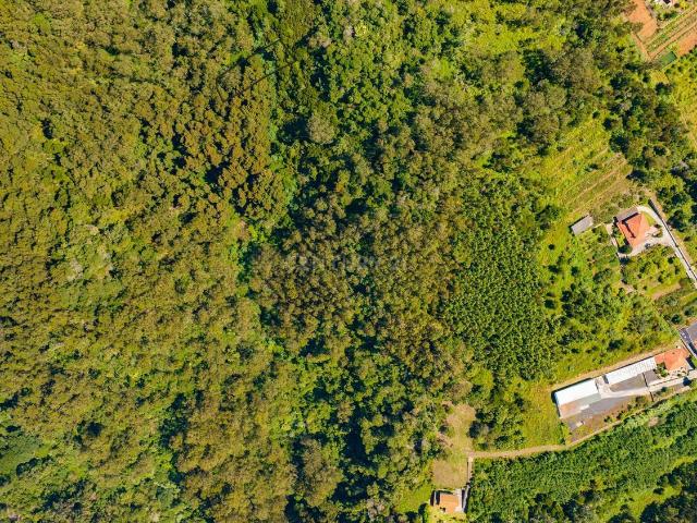 Terreno, Santa Cruz, Santa Cruz | BPI Expresso Imobiliário