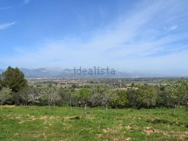 Terreno, Santa Eugenia