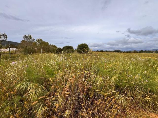 Terreno, Santa Eugenia