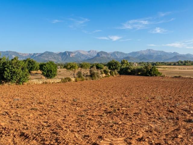Terreno, Santa Eugenia