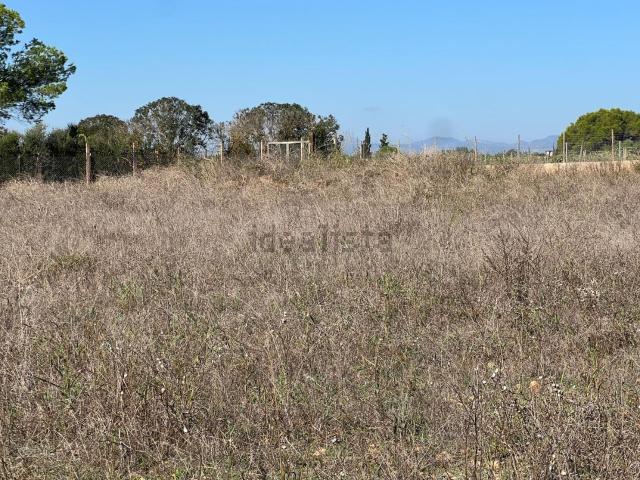Terreno, Santa Eugenia