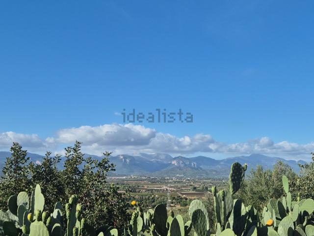 Terreno, Santa Eugenia